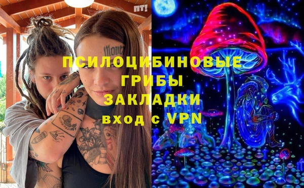 круглые Алзамай
